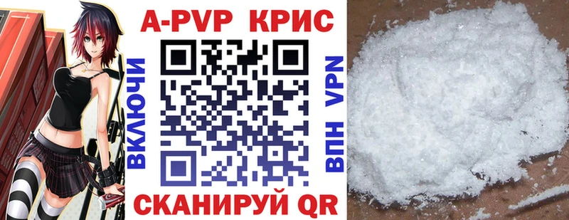 как найти закладки  Бологое  Альфа ПВП СК КРИС 