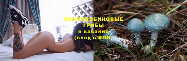 а пвп мука Алзамай