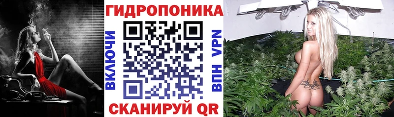 Конопля планчик  купить наркотики цена  Бологое 